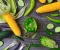 صورة مقال Unlock Your Best Body: A Comprehensive Guide to Effective Weight Loss