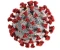 The Story of Molnupiravir:  Is It Safe?