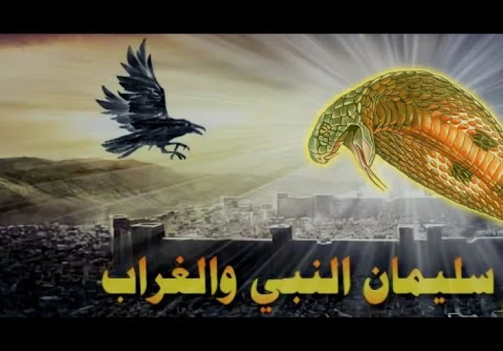 الغراب والأفعى "سية" بين الرحمة والعدل في زمن سليمان عليه السلام