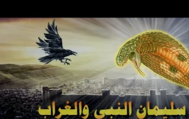 الغراب والأفعى "سية" بين الرحمة والعدل في زمن سليمان عليه السلام