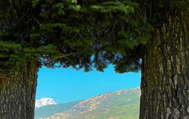 قبل وفاة الرسول صلى الله عليه وسلم 