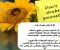article image for توقّف عن مقارنة نفسك بالآخرين… وابدأ في حبّ ذاتك