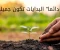 article image for جمال البدايات الصغيرة… سر النجاح الحقيقي