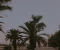صورة مقال الارنب والثعلب الماكر