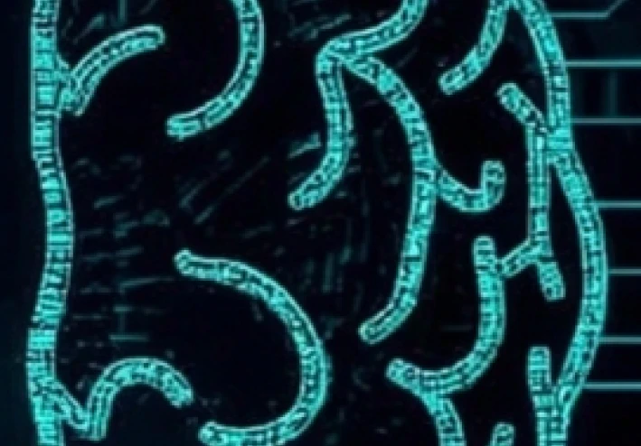 يجب ان تعرف هذه القواعد ليحترمك الحميع