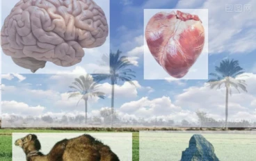 وفي الأرض آيات للموقنين وفي أنفسكم أفلا تبصرون ؟!