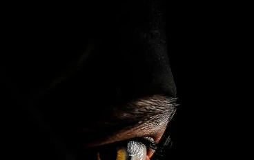 رحلة الشاب حرب