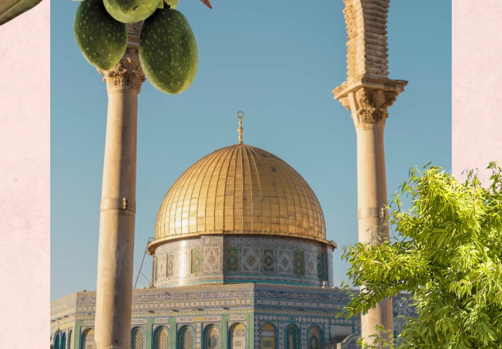 تاريخ فلسطين : أرض الرسالات ومهد الحضارات