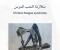 صورة مقال الاعتلال الدماغي العضلي الالتهابي (Myalgic Encephalomyelitis