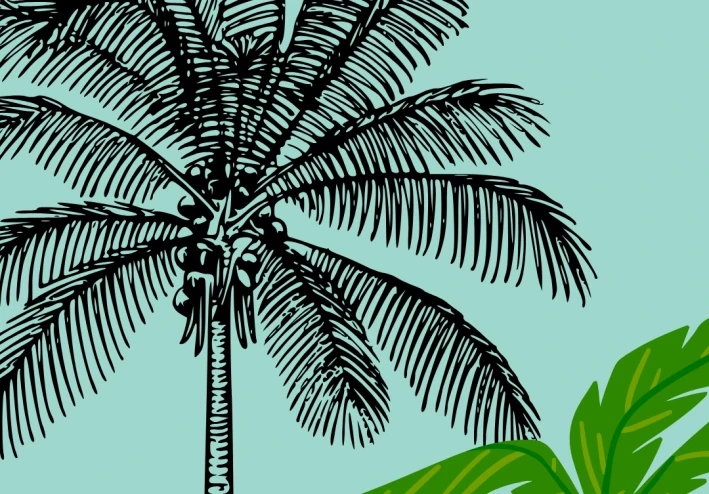 الأرنب مشمش وطبق الجزر