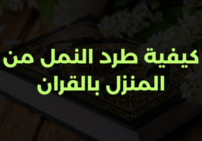 كيفية طرد النمل من المنزل بالقران بالطريقة الشرعية والصحيحة