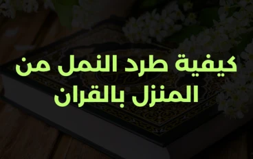 كيفية طرد النمل من المنزل بالقران بالطريقة الشرعية والصحيحة