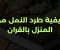 صورة مقال كيفية طرد النمل من المنزل بالقران بالطريقة الشرعية والصحيحة