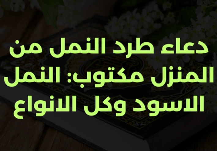 دعاء طرد النمل من المنزل مكتوب: النمل الاسود وكل الانواع