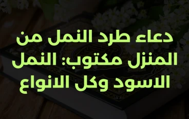 دعاء طرد النمل من المنزل مكتوب: النمل الاسود وكل الانواع