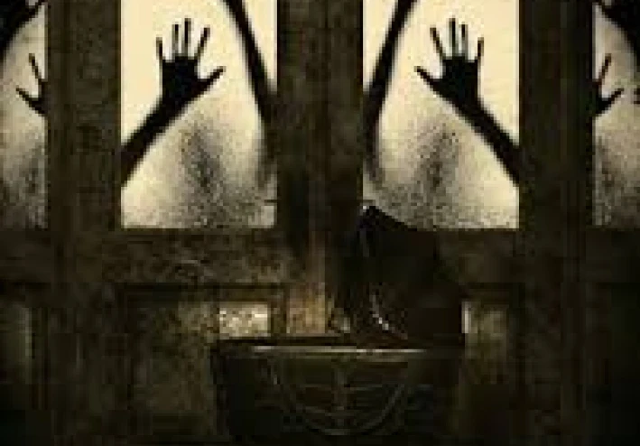 "ظلال خلف النافذة"
