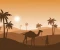 article image for The Date Palm and the Stranger
