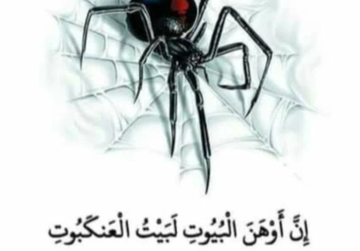 أوهن البيوت... الإعجاز المذهل في ذكر العنكبوت بالقرآن