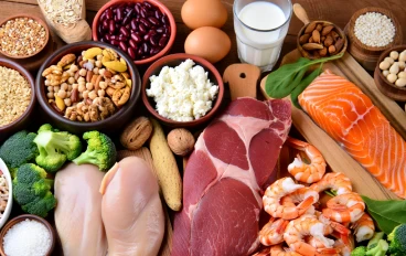 كيف تساهم البروتينات في بناء العضلات وتحسين الصحة؟