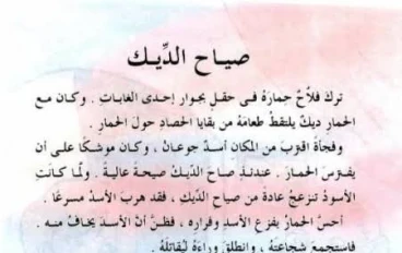 قصة صياح الديك