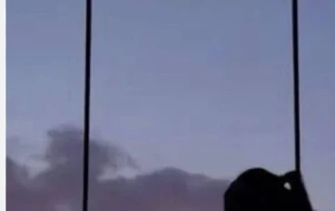 الحب المقتول في مكب الحياه الدنيا 