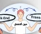 صورة مقال  الفرق بين Frontend و Backend