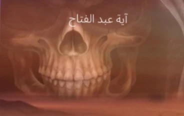 رواية الواحة الملعونة الفصل الثاني بقلم آية عبدالفتاح