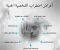 صورة مقال إضطراب الشخصية الحدية 