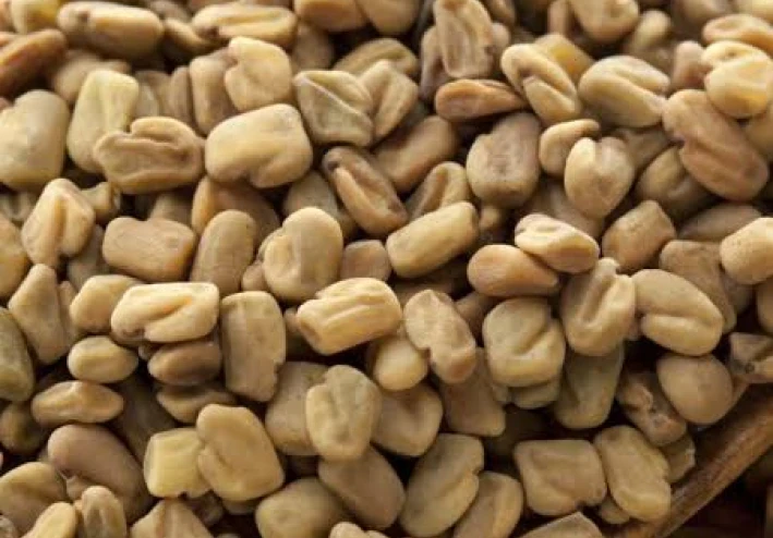 All what you want to know about fenugreek.