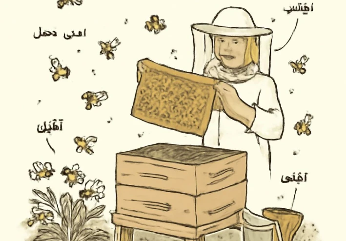 طريقة التربية النحل 🐝
