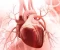 article image for كيف تحافظ علي قلبك .