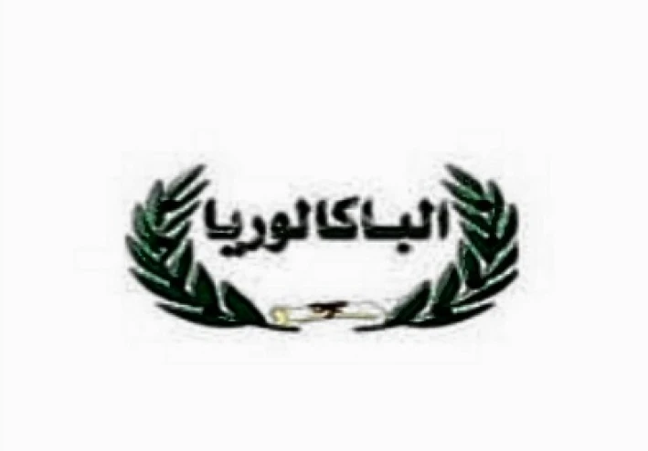 شرح نظام البكالوريا في مصر 2025: المميزات والتحديات"
