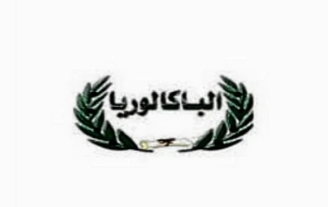 شرح نظام البكالوريا في مصر 2025: المميزات والتحديات"