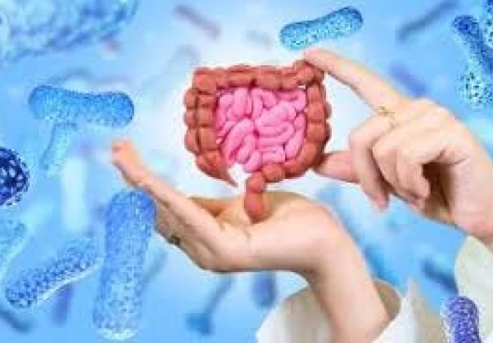 The Microbiome Revolution: How Gut Bacteria Shape Human Health