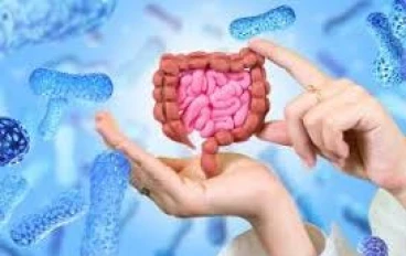 The Microbiome Revolution: How Gut Bacteria Shape Human Health