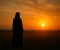 صورة مقال قصص واقعية تثبت: الحياء درع والزنا دمار
