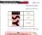 article image for تحميل مذكرة علوم للصف الثالث الإعدادي الترم الأول 2026