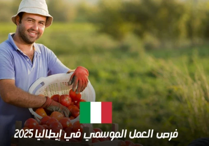 وزارة العمل تفتح باب التقديم لـ 20 فرصة عمل بعقود رسمية في إيطاليا.. تخصصات فنية وإنشائية مطلوبة