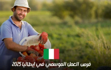 وزارة العمل تفتح باب التقديم لـ 20 فرصة عمل بعقود رسمية في إيطاليا.. تخصصات فنية وإنشائية مطلوبة