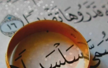 الدجاجة التي ارادت ان تطير