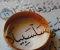 صورة مقال الدجاجة التي ارادت ان تطير