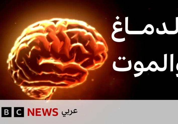 ماذا يحدث للدماغ قبل أن نموت؟