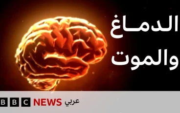 ماذا يحدث للدماغ قبل أن نموت؟