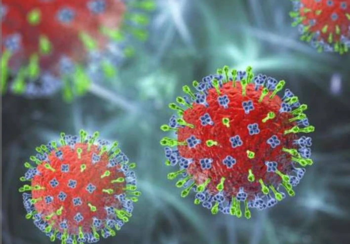 Genetic Analysis and Viral Evolution of SARS-CoV-2: Impacts and Spread