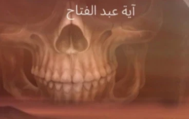 رواية الواحة الملعونة الفصل السادس  آية عبد الفتاح