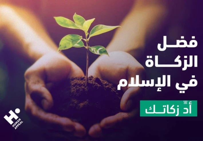 أثر الزكاة في تطهير المال والنفس