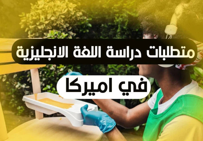 متطلبات وشروط التقديم للدراسة في أمريكا