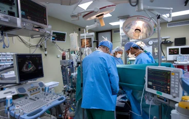 لماذا نبحث باستمرار عن حلول لمشاكلنا الصحية؟ اكتشف الأسرار العالمية وراء هوسنا بالصحة