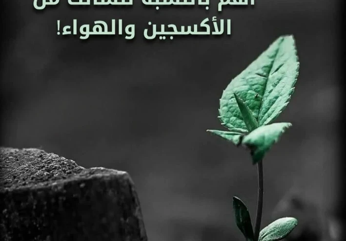 الهدوء في العاصفة:كيف تصنع سكينة قلبك في زمن الضجيج؟