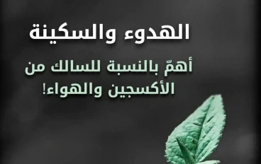الهدوء في العاصفة:كيف تصنع سكينة قلبك في زمن الضجيج؟